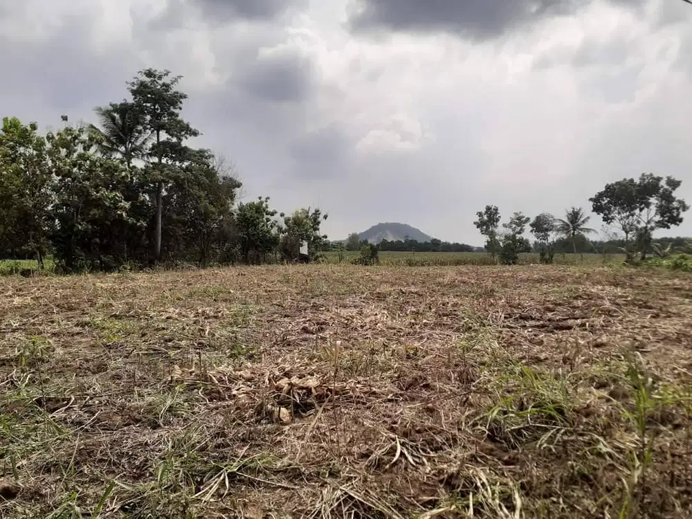 Dijual tanah di kawasan Haduyang, Branti