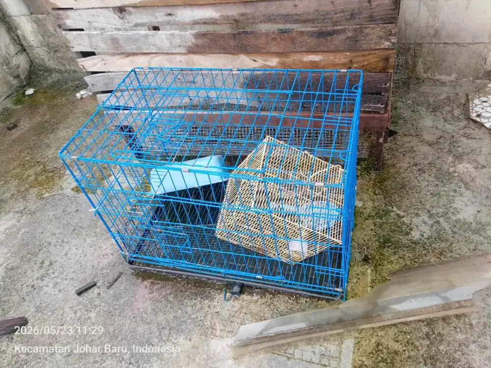 Kandang kucing besi