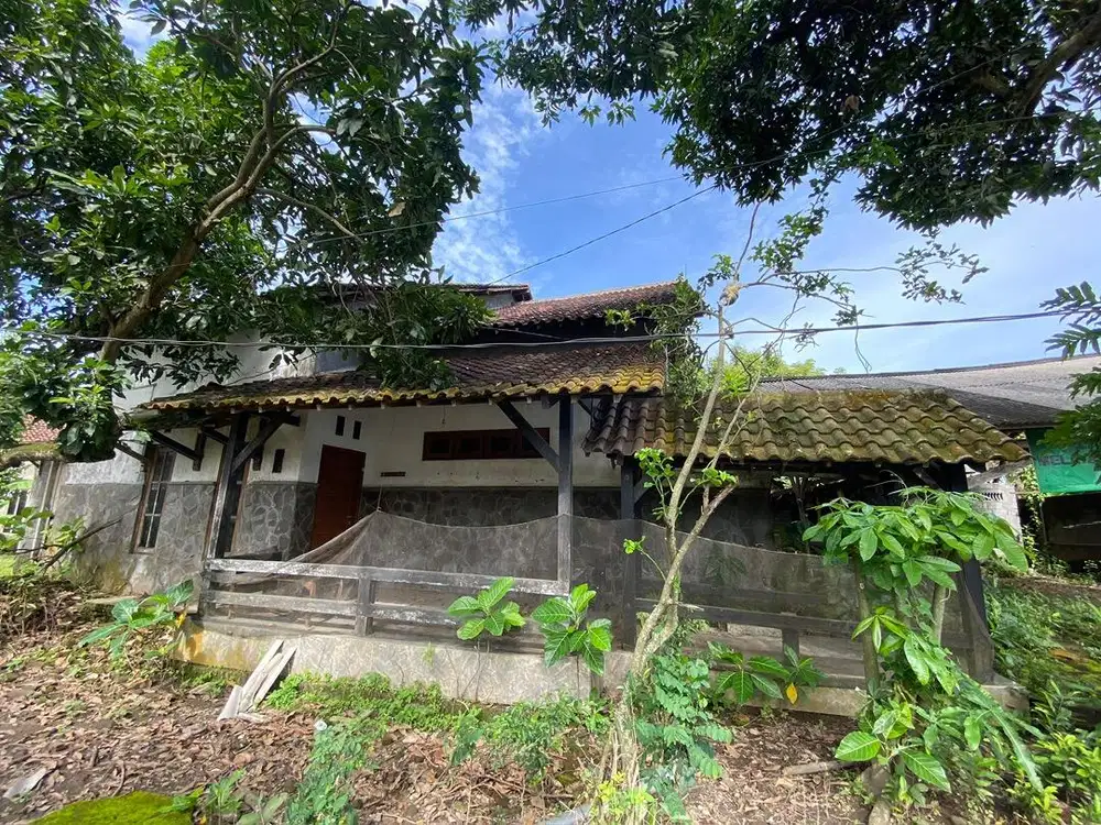 Dijual Cepat Rumah Luas Pemakaian Sendiri di Area Jombang
