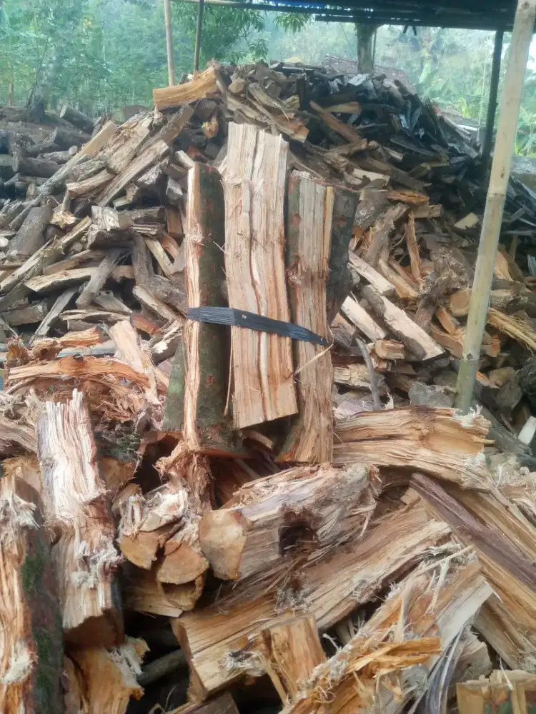 Kayu bakar rambutan