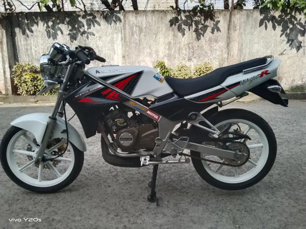 Kawasaki ninja r albino th 2013