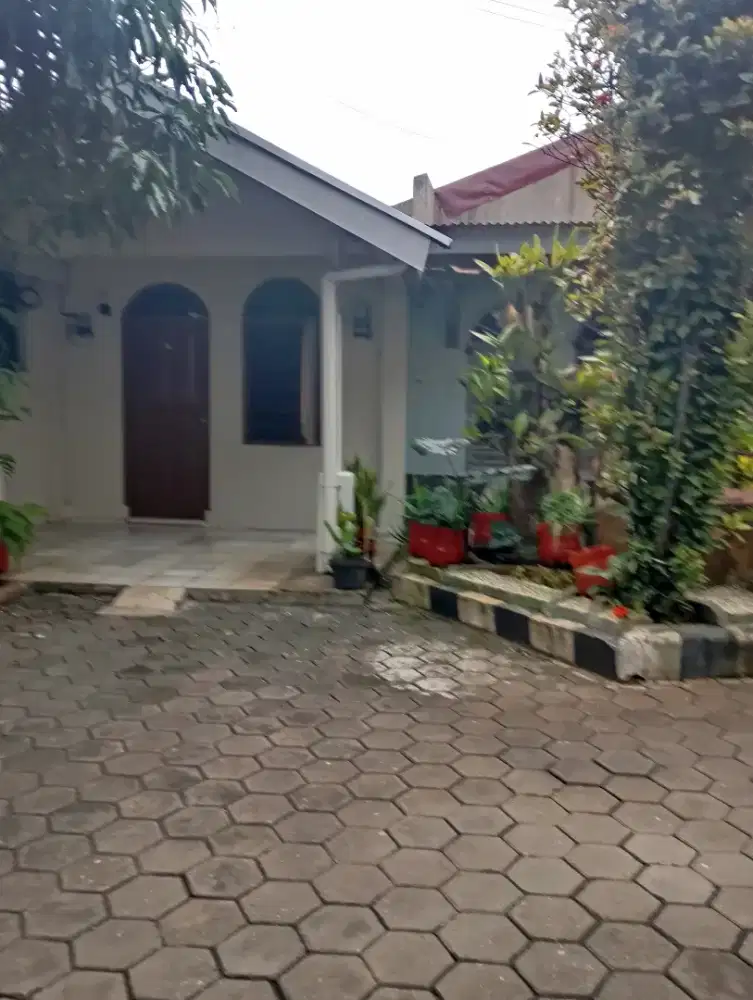 DIKONTRAKKAN TAHUNAN RUMAH BESAR