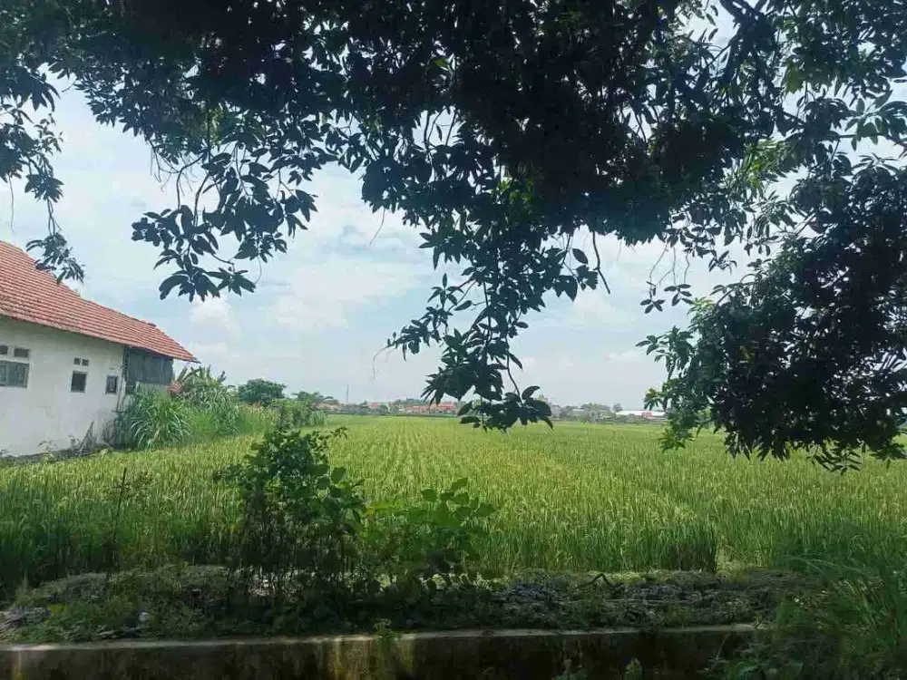 jual murah tanah bagus untuk gudang ,& rumah hunian di samping Polsek Peterongan Jombang
