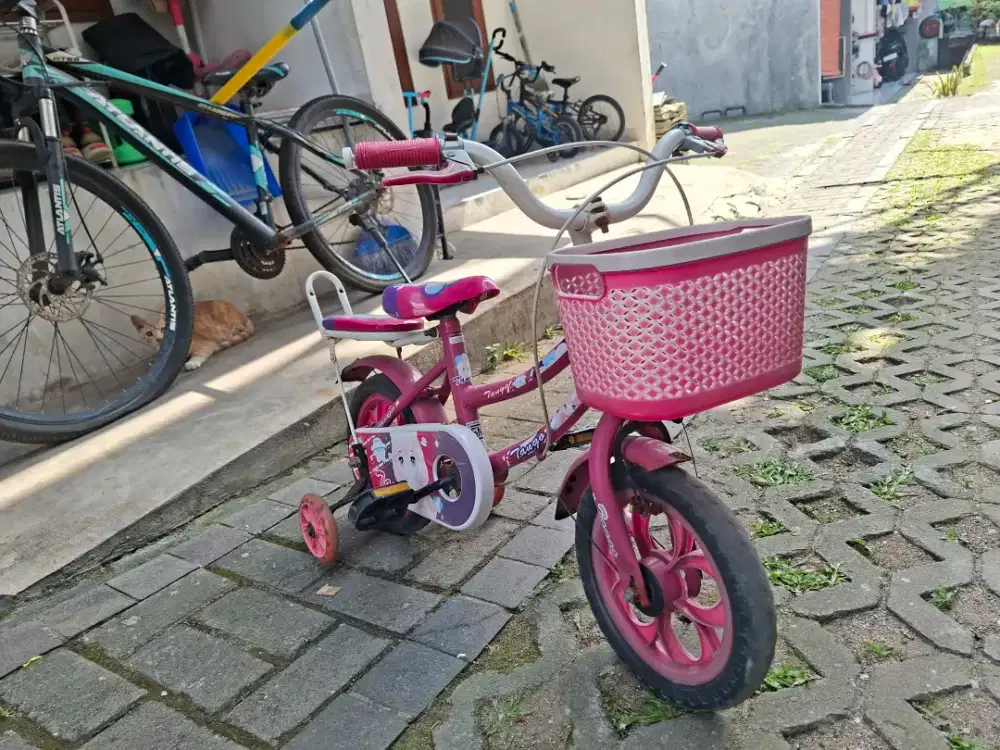 Sepeda Anak Perempuan Pink