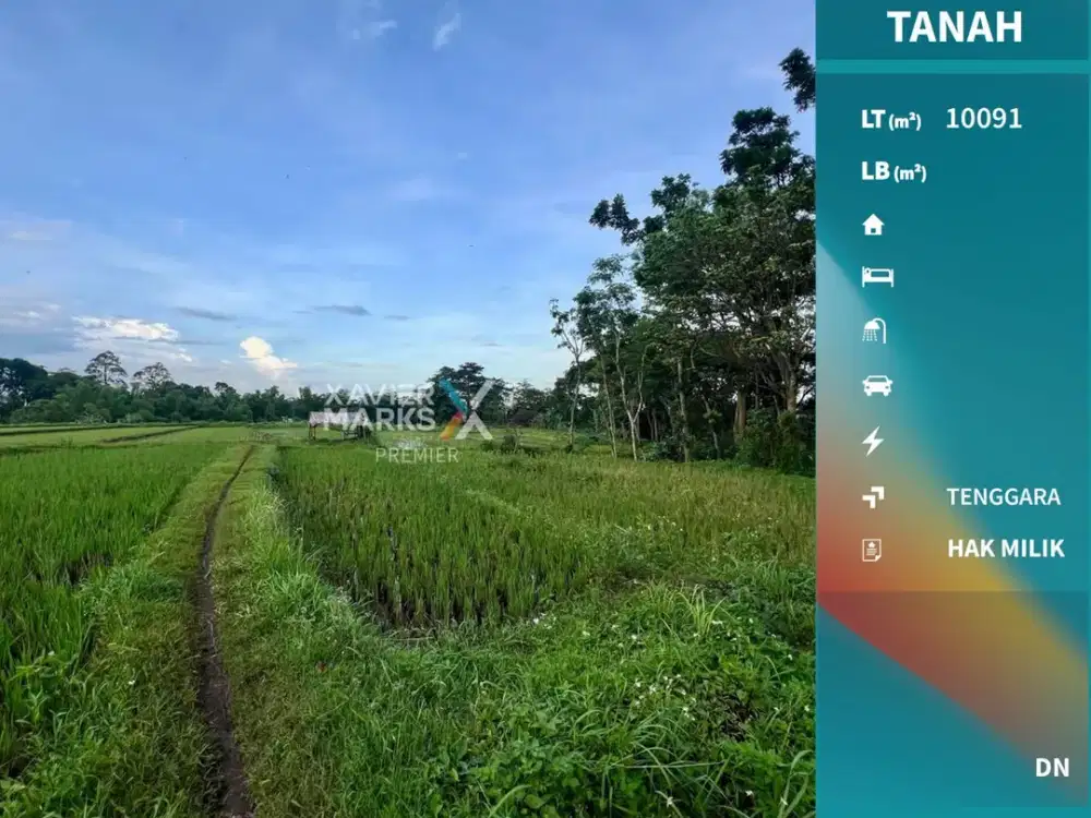 Lahan Strategis Di Jalan Raya Sentul Purwodadi Pasuruan Malang(OLX492