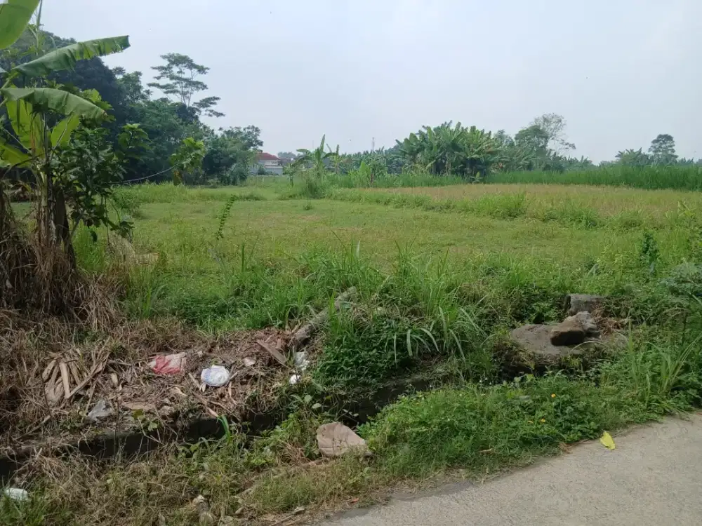 Dijual tanah SHM sawah timur SD model Maguwoharjo Sleman