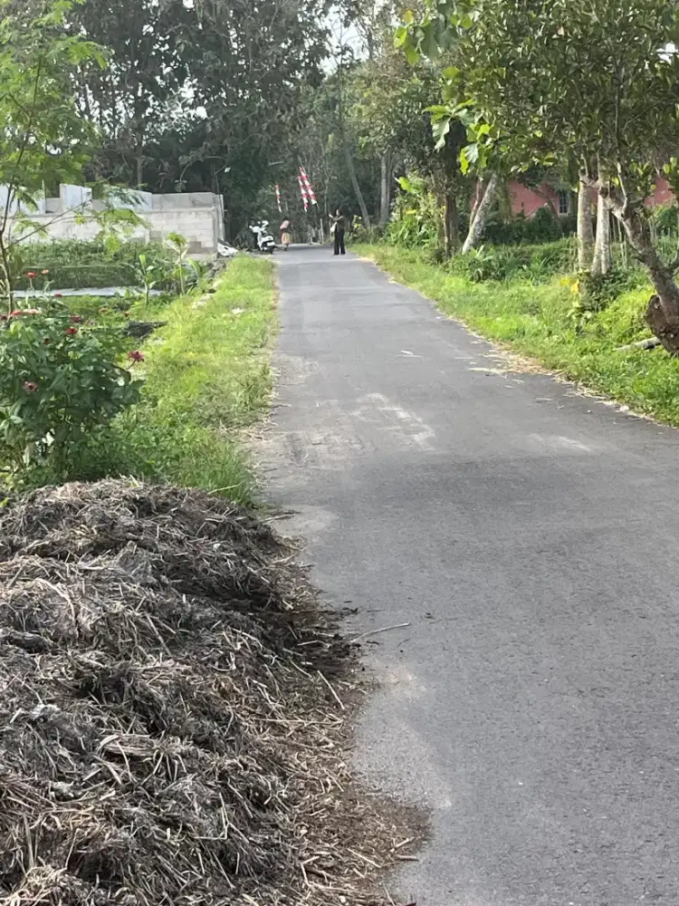Dijual tanah sawah SHM murah di sambermbe Purwobinangun pakem Sleman