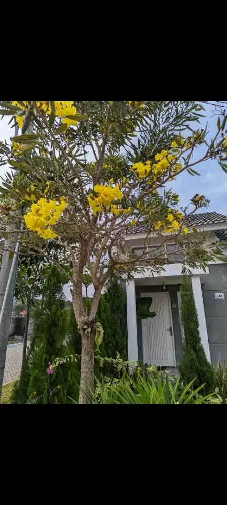 Dijual Rumah dan atau Oper Kredit - Surya Garden 2, Sidoarjo