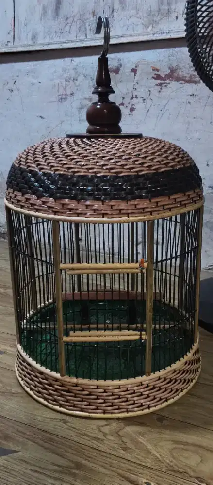 Sangkar tekukur baru