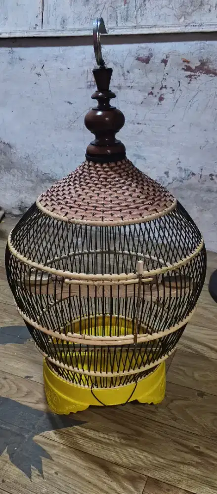 Sangkar perkutut baru