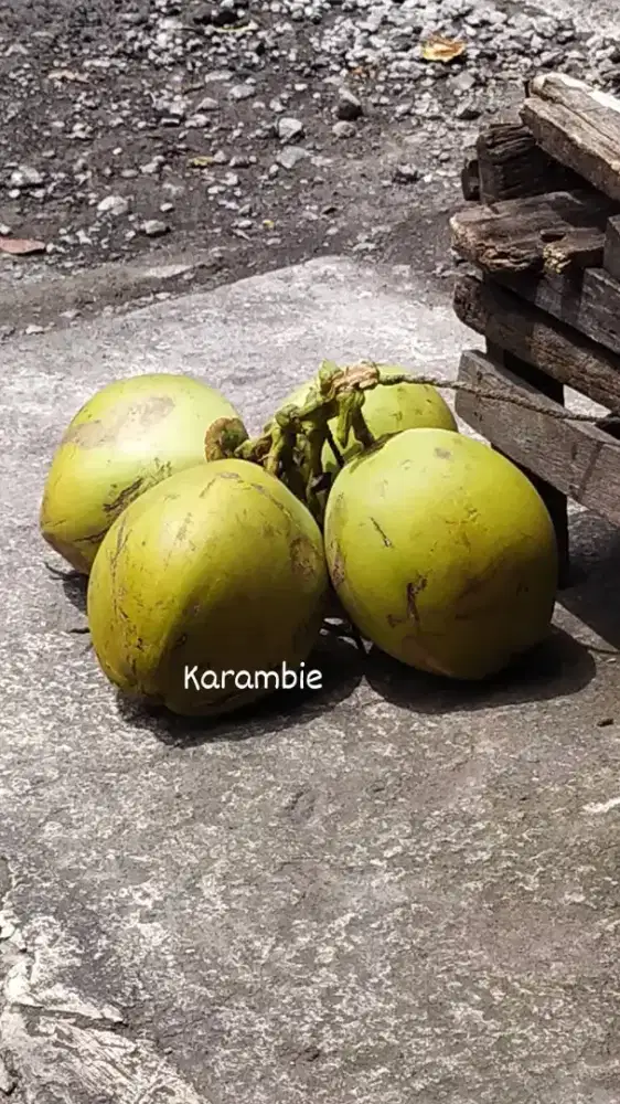 Di butuhkan yg berpengalaman dalam bidang rumah makan