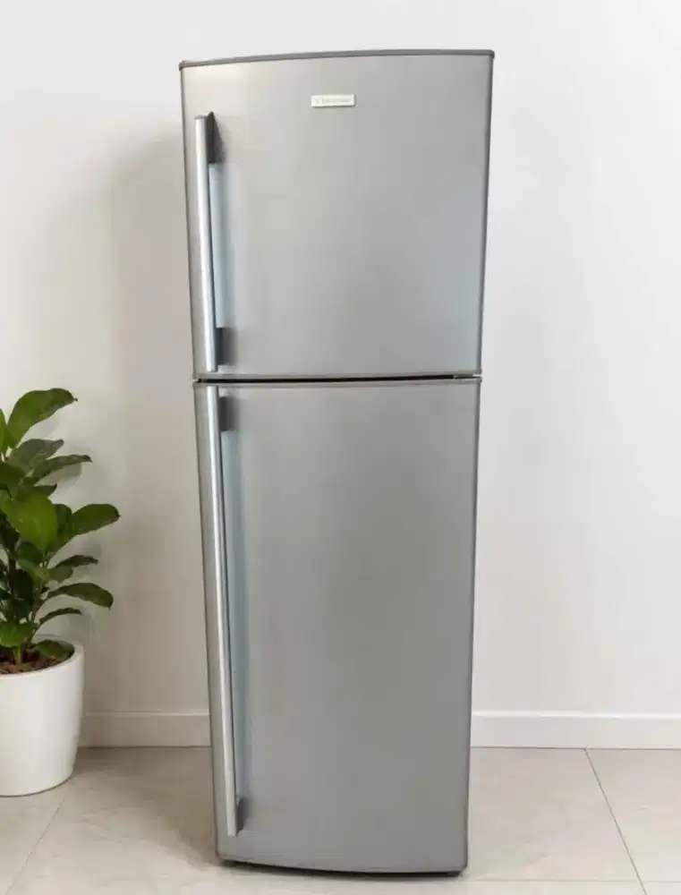 kulkas elektrolux 2 pintu