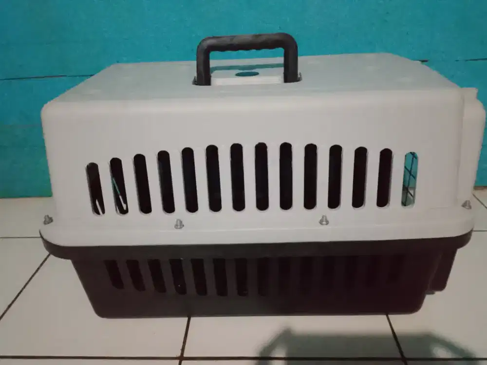 Pet cargo kucing