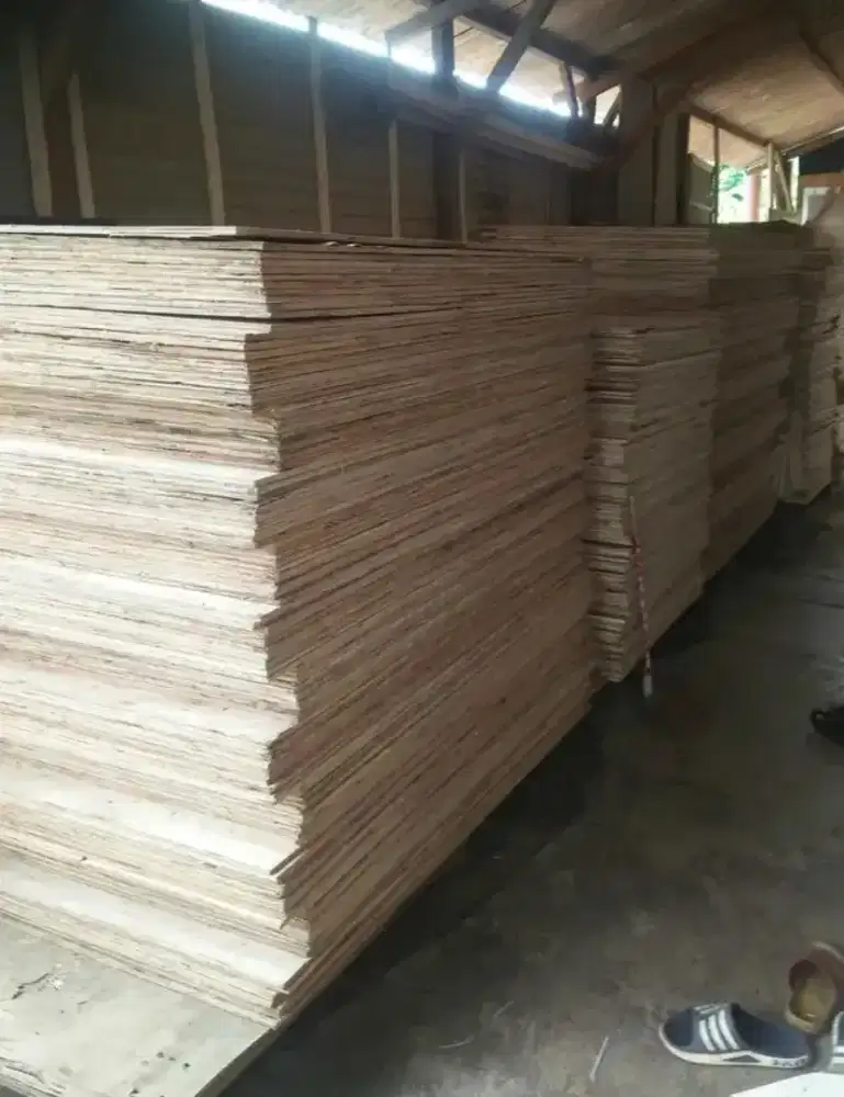 Jual triplek 18mm bekas utuh 120x240