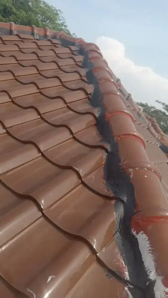 Tukang perbaikan atap. Dan Plafon