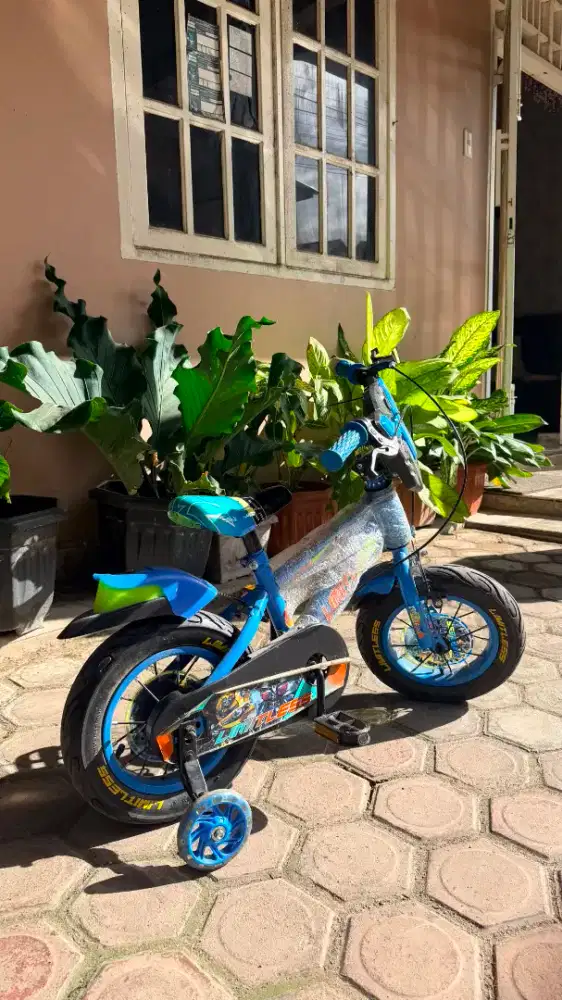Dijual sepeda anak laki-laki