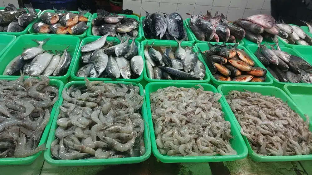 Ikan segar GRATIS ONGKIR + COD