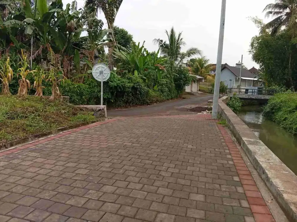 dijual tanah 5,92 are IDR 450 juta per are di Mengwi Badung Bali