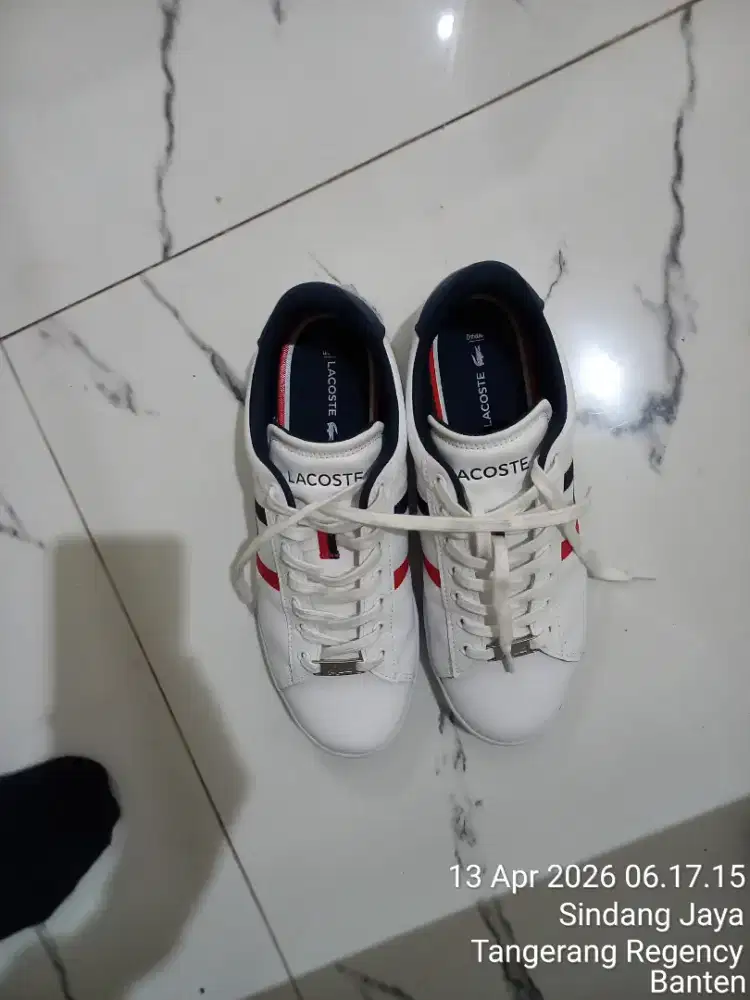 Sepatu Lacoste Original