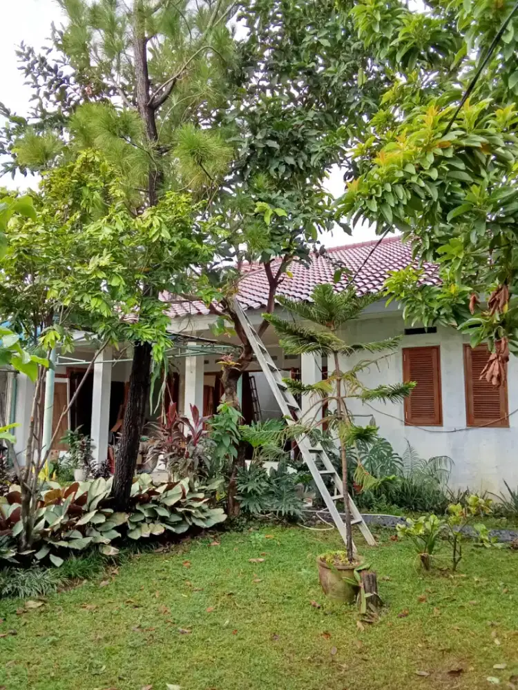 Jual bangunan rumah dan tanah hook murah tanpa perantara