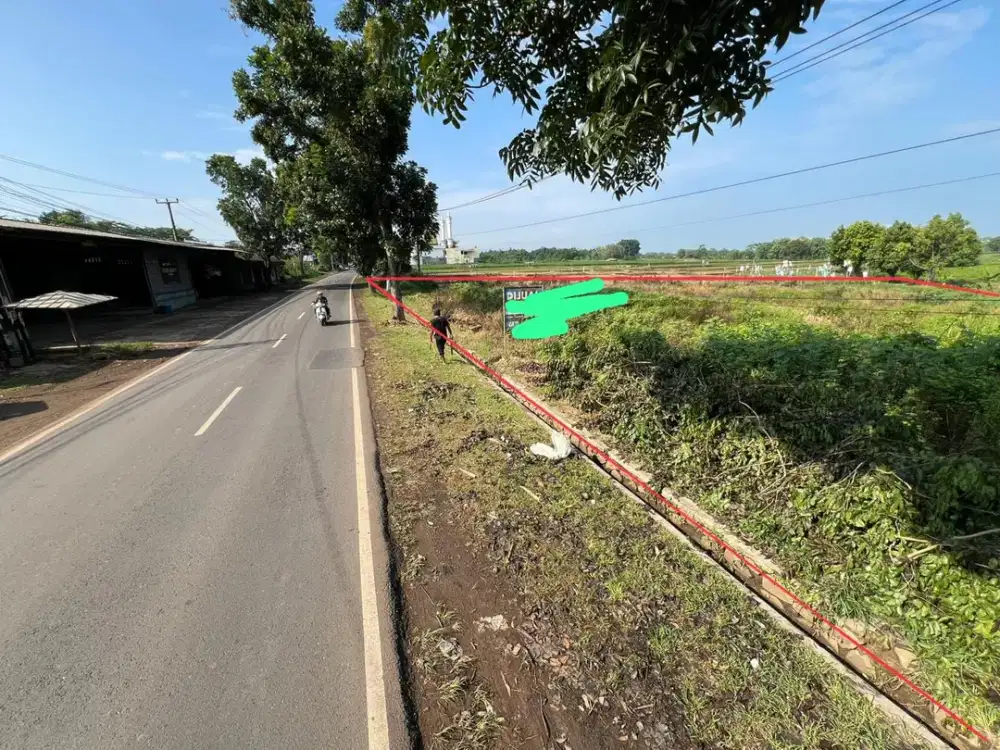 Dijual Tanah di Mainroad Subang- Pagaden cocok untuk pabrik, restoran, gudang dll