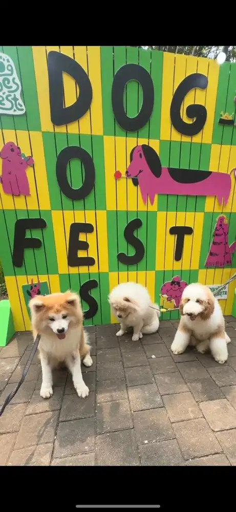 LOWONGAN KENNEL BOY