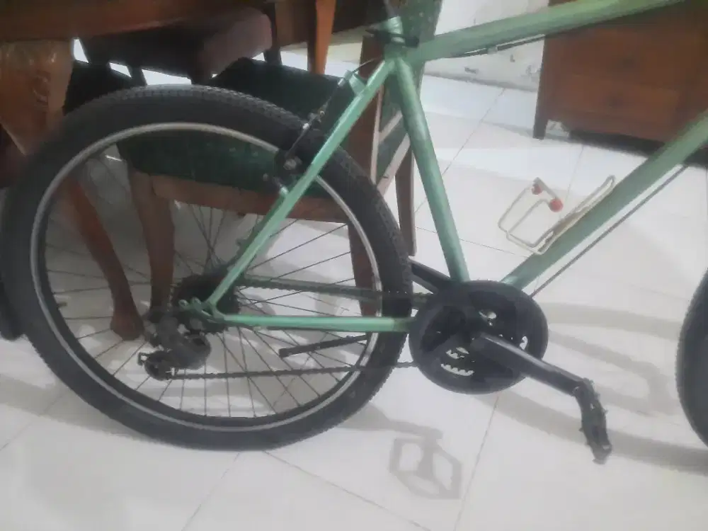 Speda dewasa merk Switch
