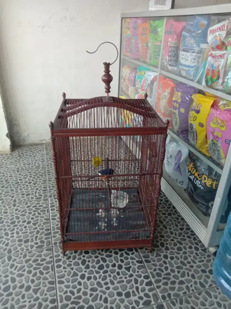 Kandang kotak no 1..burung udah laku.150 k