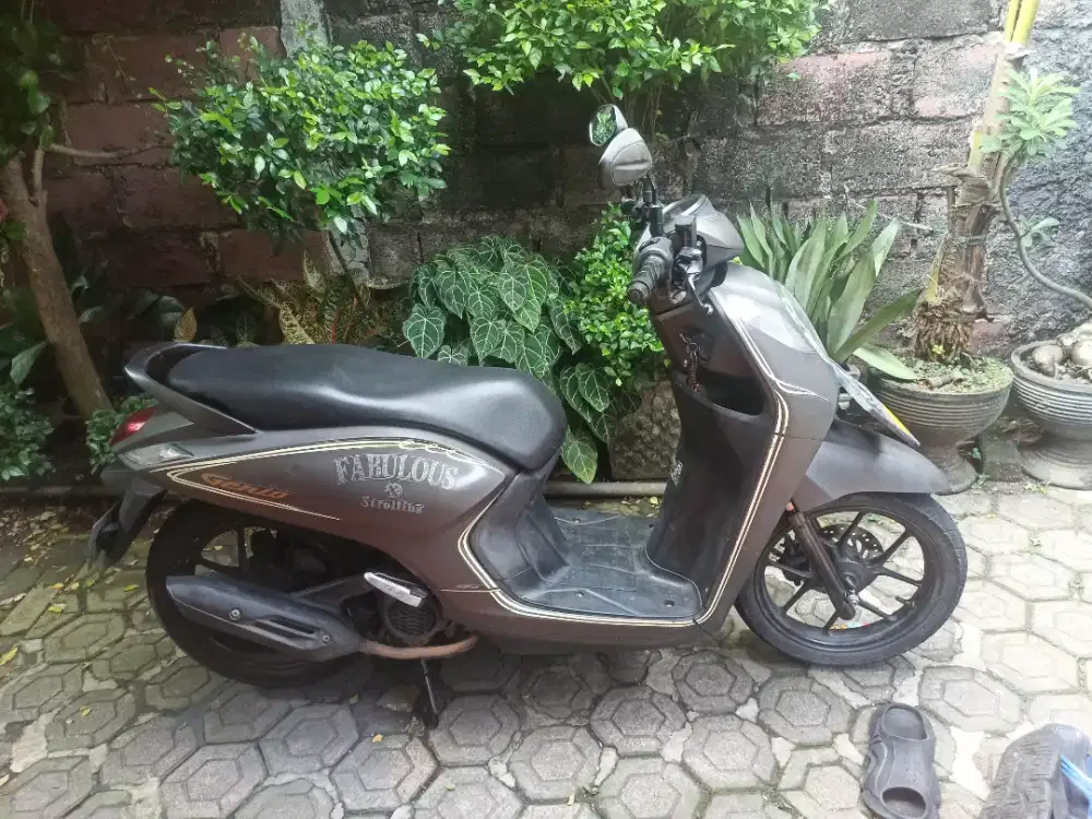 Honda Genio 2022 fabolus
