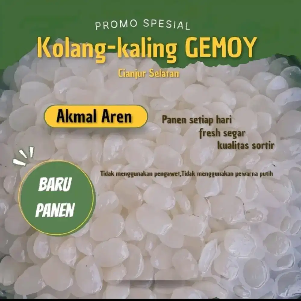 KOLANG-KALING Gemoy...