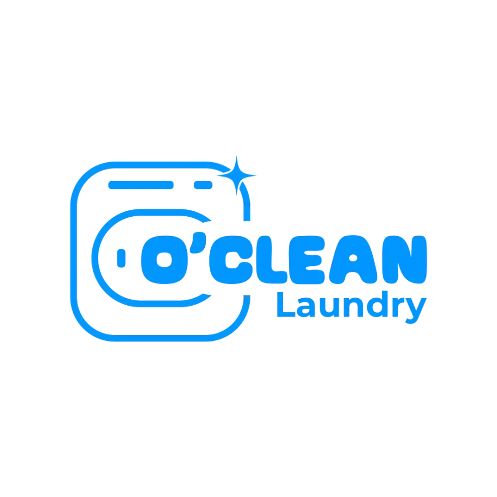 Karyawan Laundry