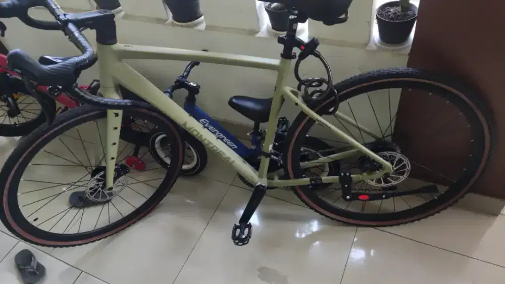 Sepeda Gravel Montreal GRT Size L Moss Green