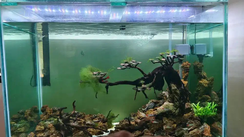 Di jual aquarium lengkap dengan meja dan lampu, kipas