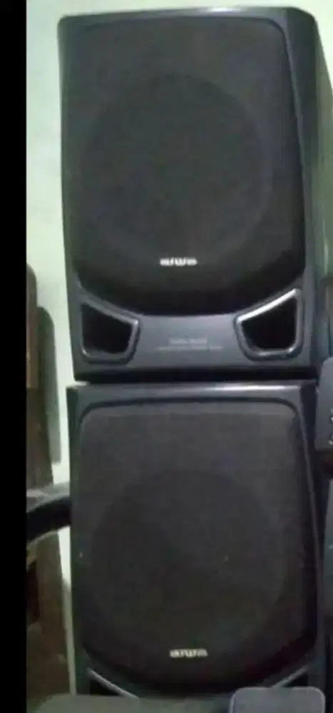 Aiwa pasif speaker