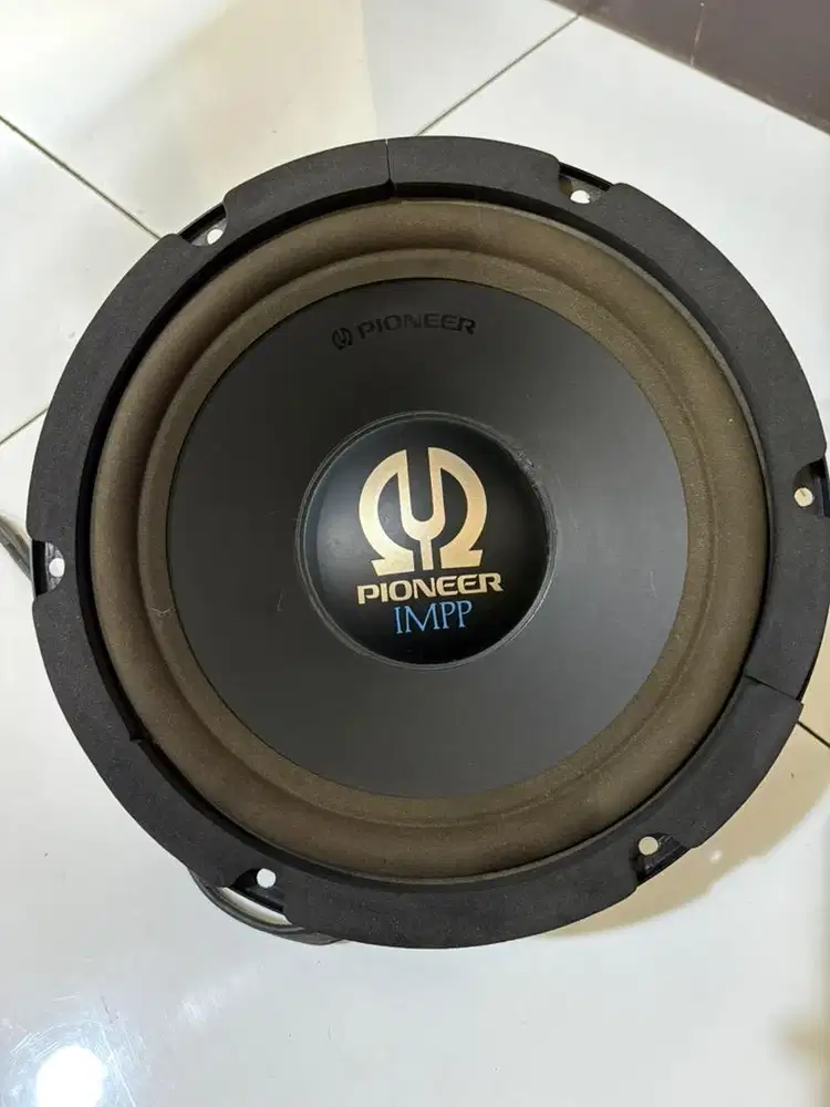 Subwoofer Legendaris Pioneer IMPP TS-W252F Free Air Series