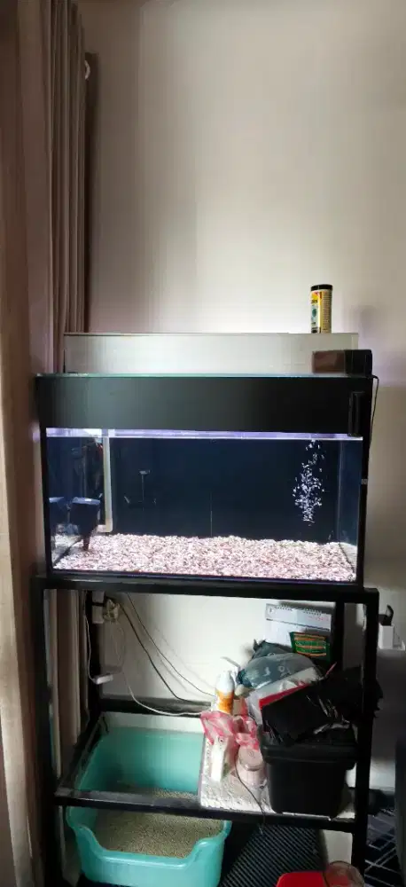 Jual Aquarium Full Set