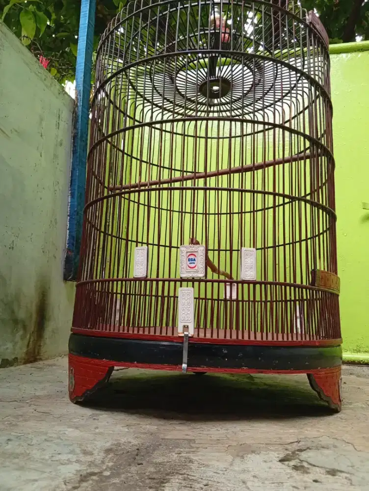KANDANG BURUNG MURAI EGA JAYA NO. 1 (UKURAN BESAR)