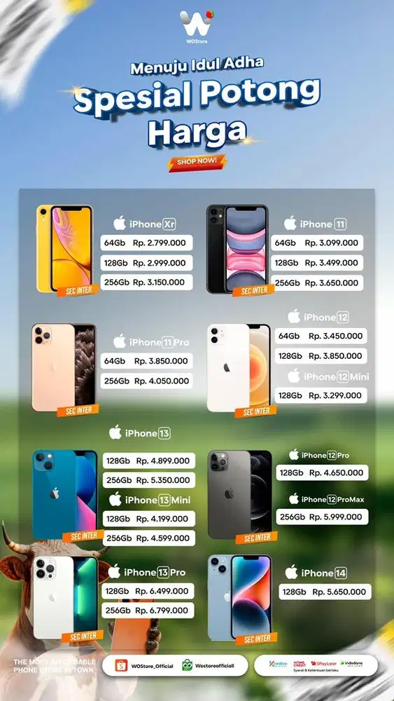 ip harga spesial idul adha