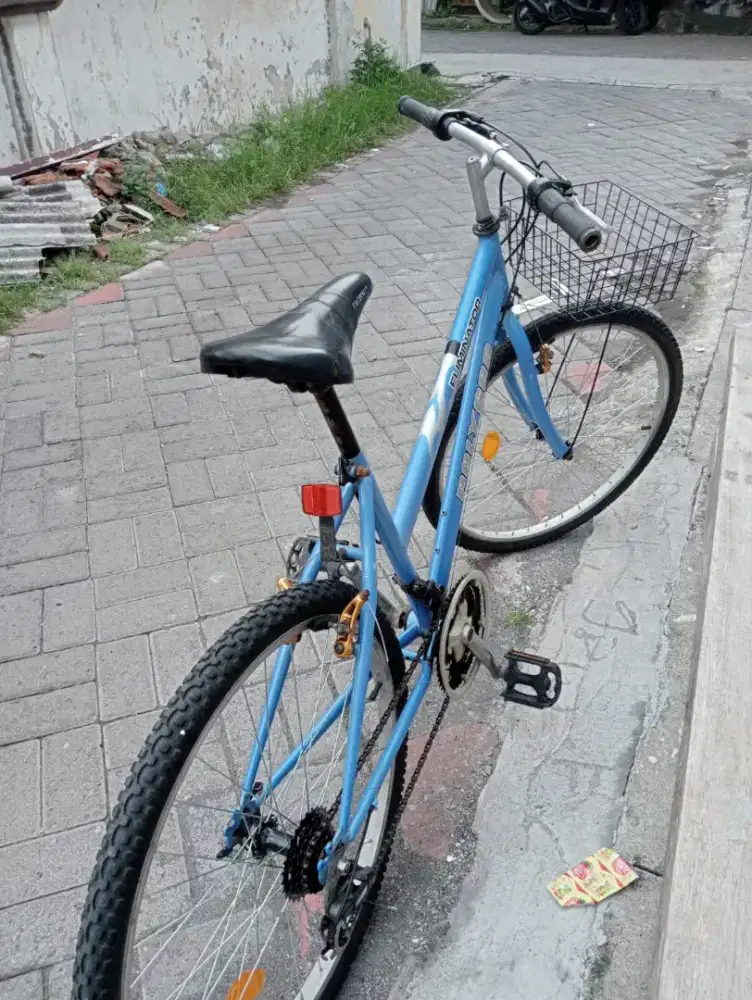 Poligon lady ukuran 26 normal siap pakai