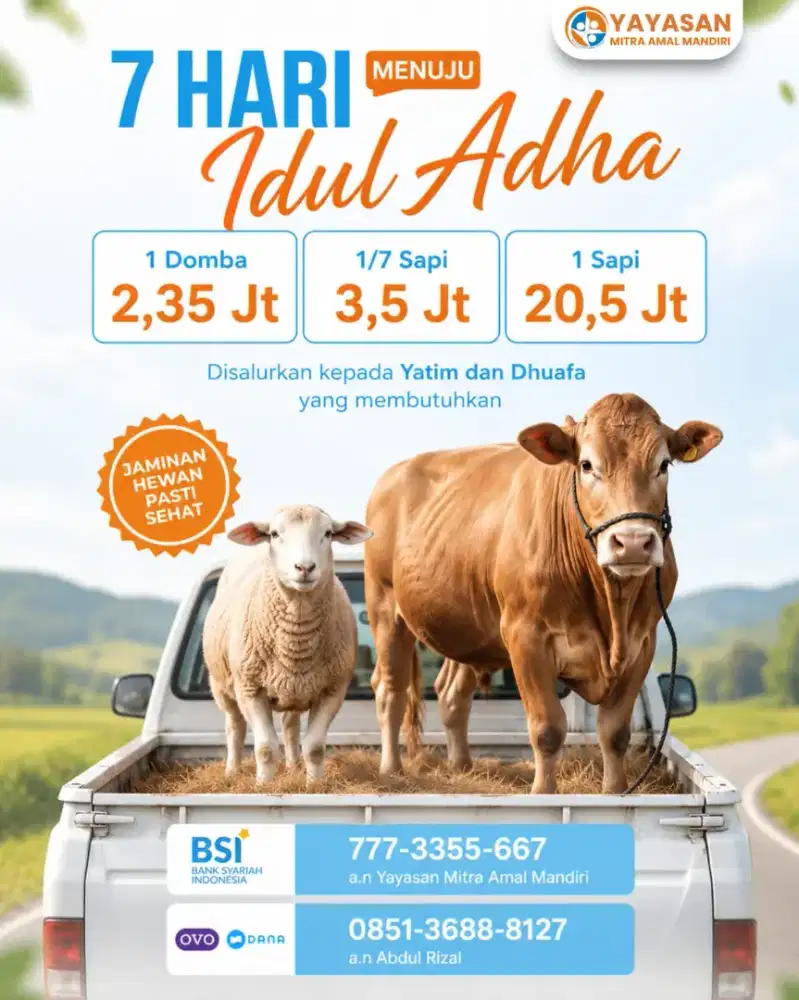 Jual hewan domba sapi qurban murah