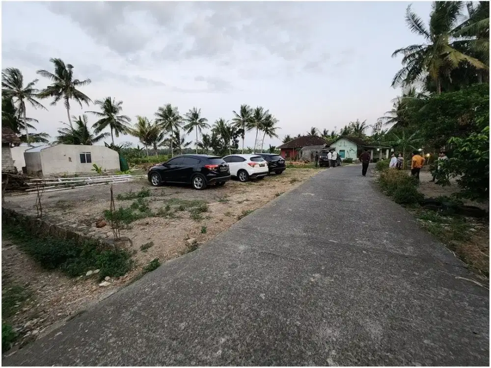 Dekat Terminal Wates Dijual Tanah Jogja di Wates