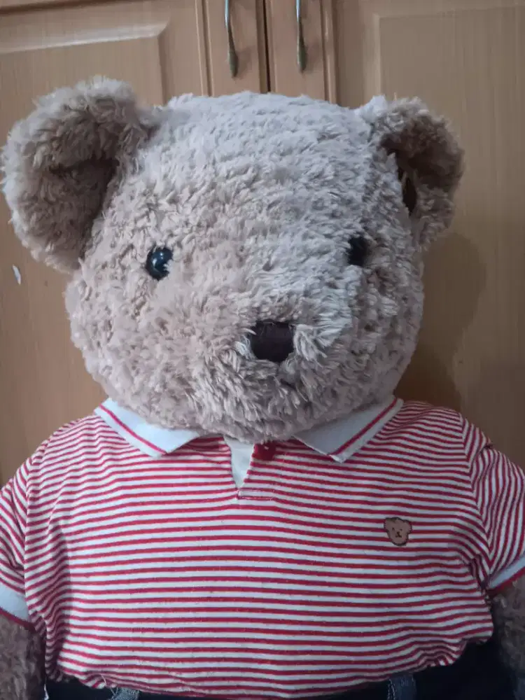 Boneka Teddy House Original size 31