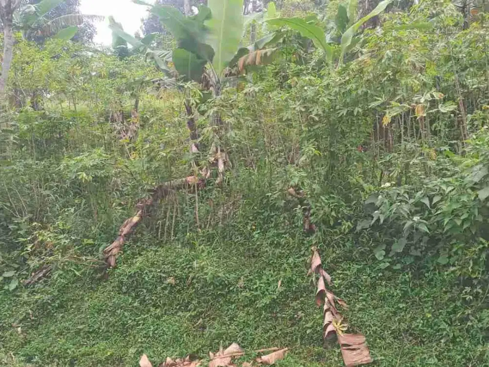 di jual lahan SHM akses mobil view gunung di cijeruk bogor