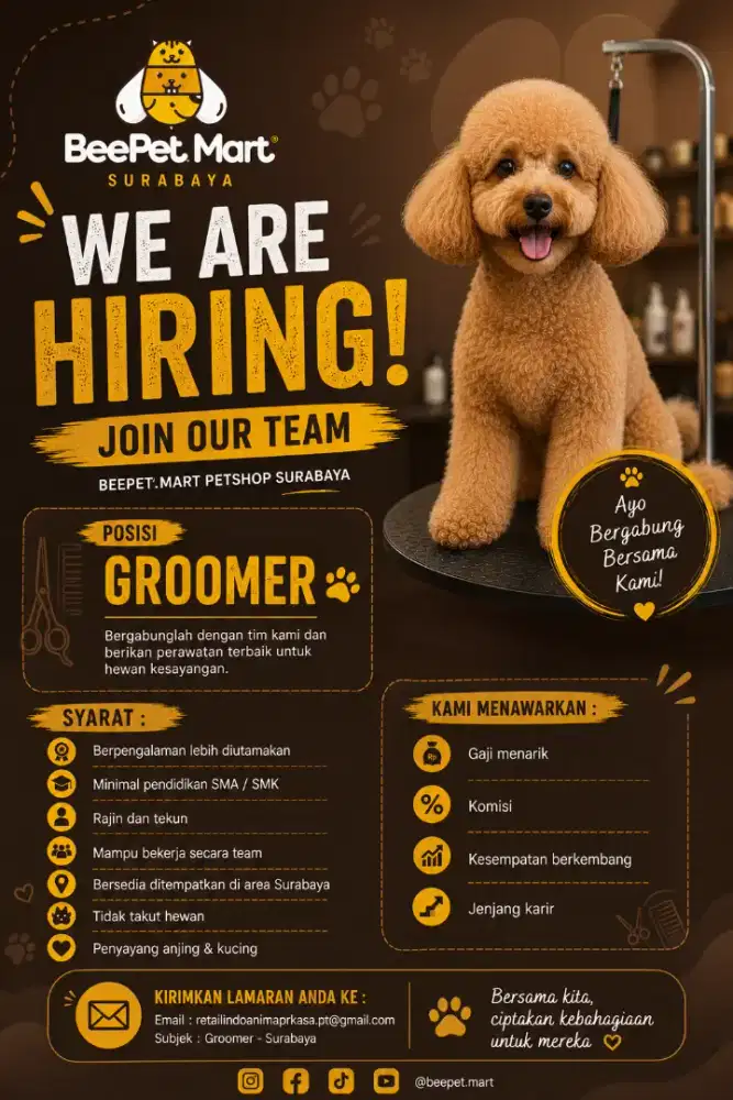 Dibutuhkan Groomer segera