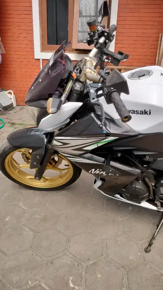 Kawasaki Ninja Z 250 FI