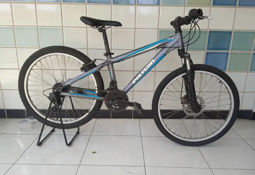 Sepeda gunung MTB polygon relic 24