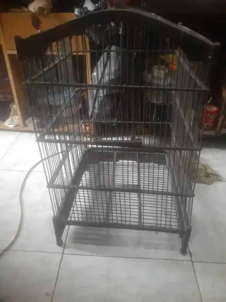 Kandang rusak no 2 di BSD