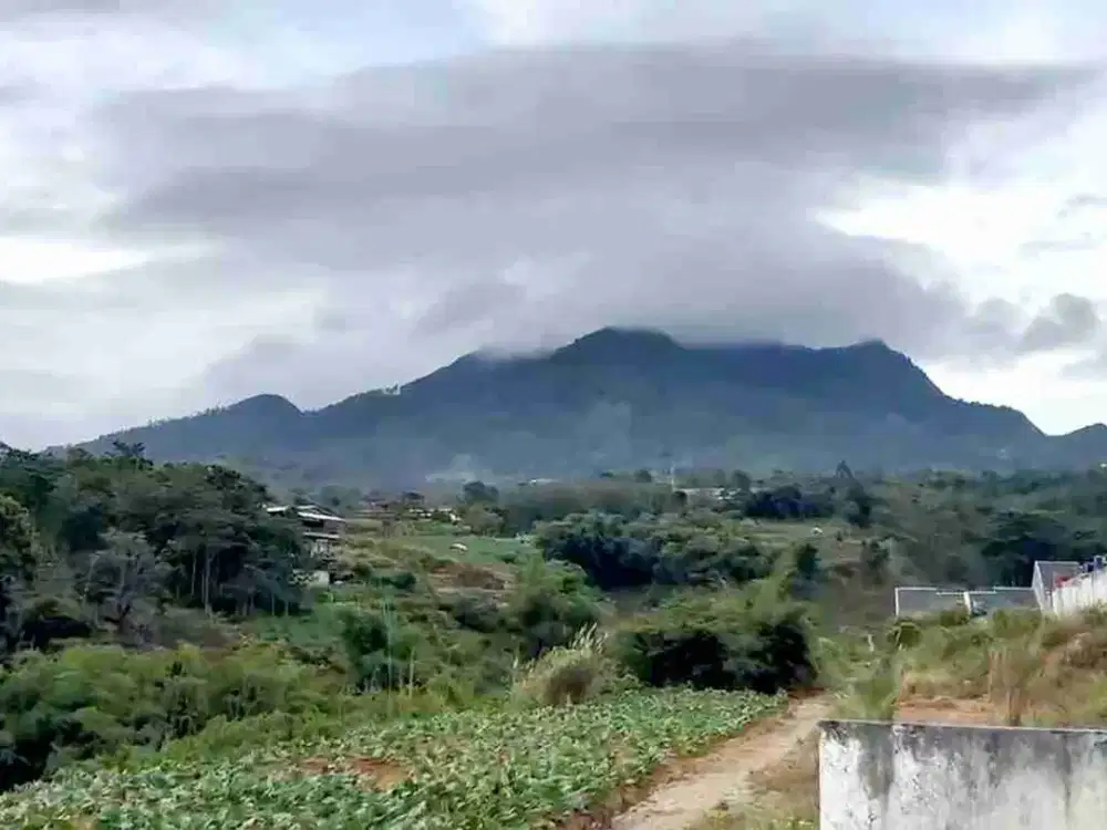 LAHAN KAVLING DI CIBIRU WETAN, KEC CILEUNYI, KAB BANDUNG, JAWA BARAT