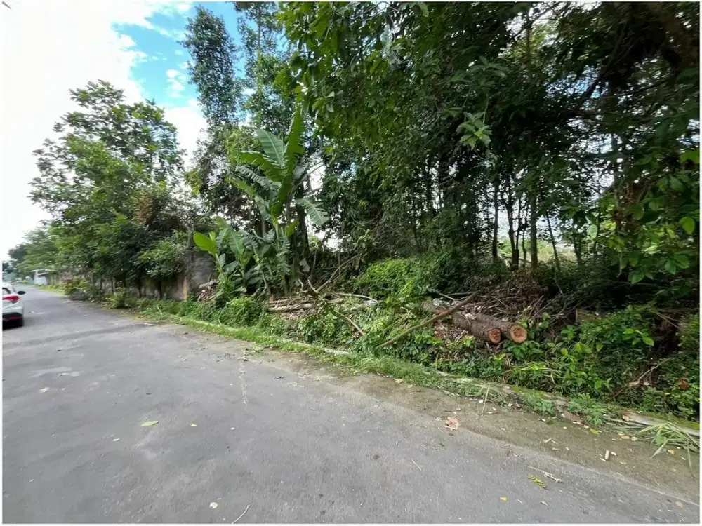 Tanah Yogyakarta di Kalasan Dekat Candi Sewu
