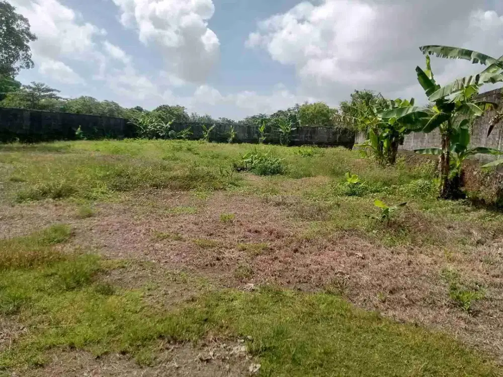 dijual tanah 2516m² IDR 450 juta per are dekat pantai Jimbaran Kuta Selatan Badung Bali